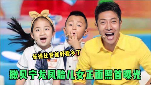 霍总那对龙凤胎和你长的很像