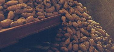 番薯浇米,传统美食的传承与创新