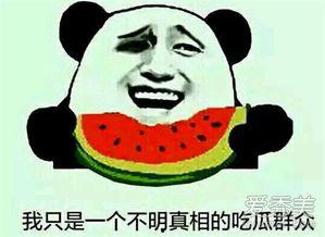 等着吃瓜是什么意思,揭秘网络热词背后的娱乐文化现象
